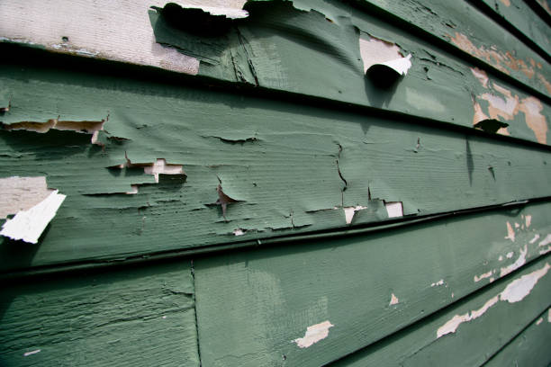 Delhi, CA Junk Removal Pros